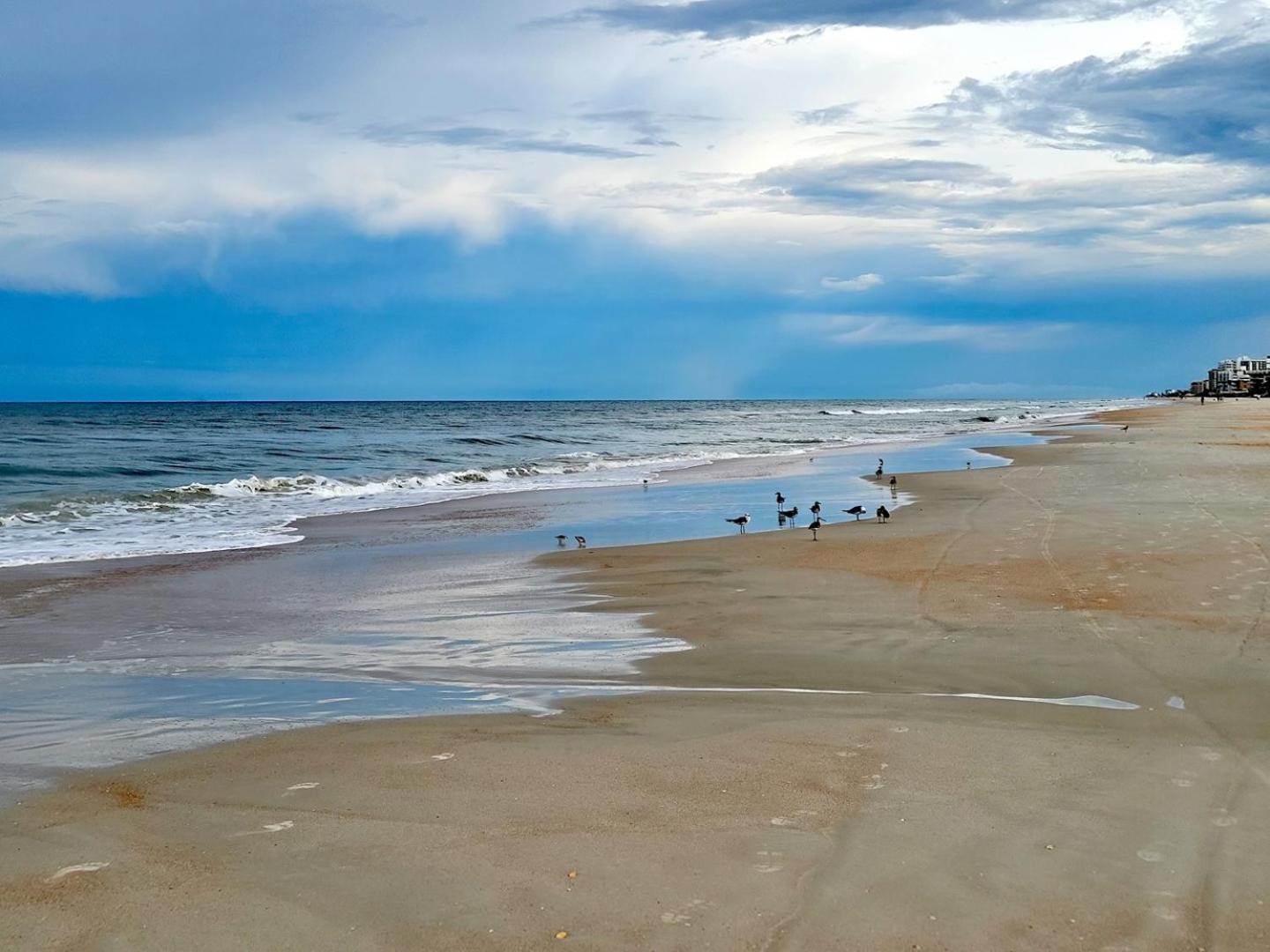 513 - Spectacular Penthouse Level Condo New Smyrna Beach Ngoại thất bức ảnh